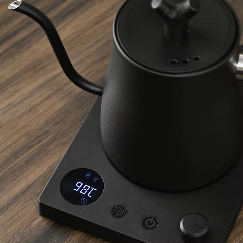 Electric Kettle Temperature Control - Bollitore Elettrico a Collo d'Oca da