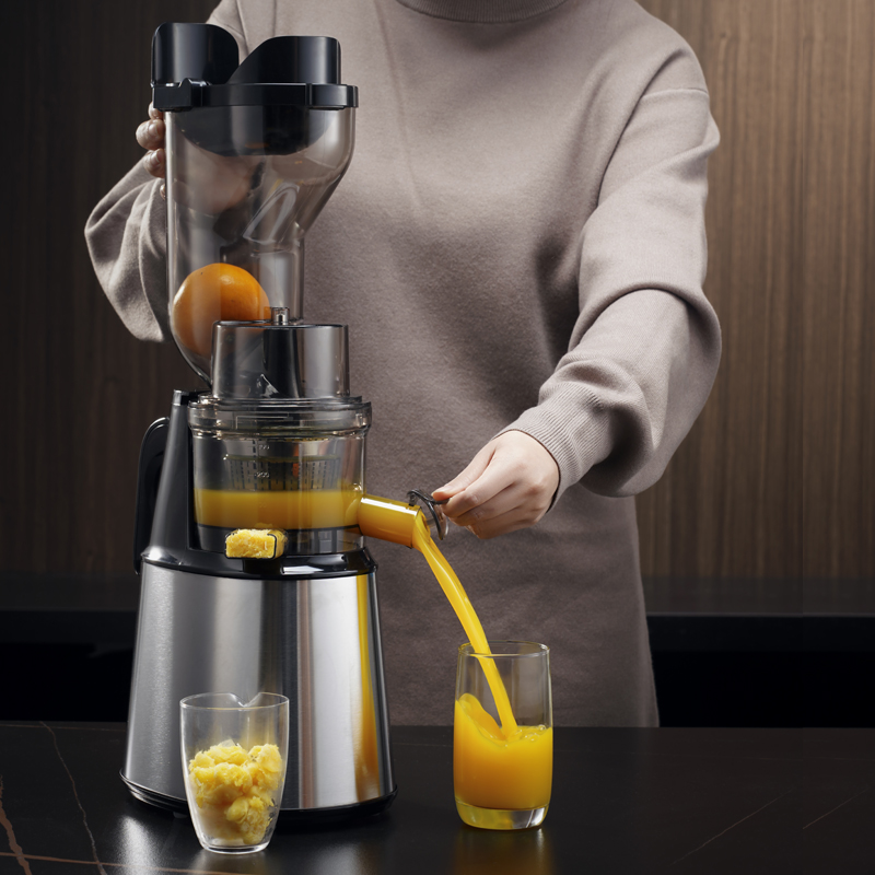 Electric Slow Juicer Cold Press - Estrattore di Succo Commerciale Multifunzione per