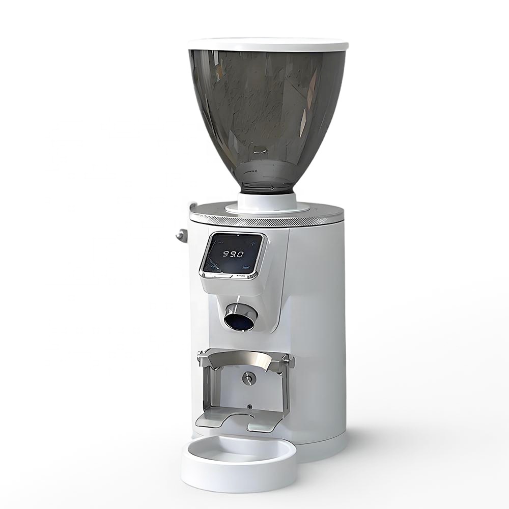 Coffee Bean Grinder Electric - Macinacaffè Elettrico in Acciaio Inox con