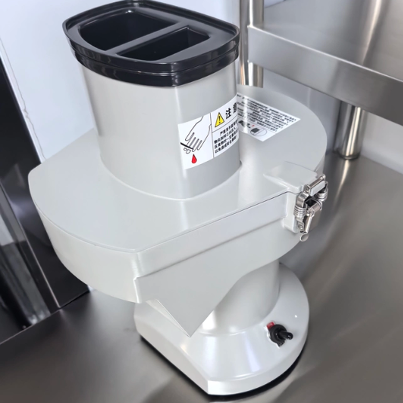 Automatic Meat Slicer Home - Tagliaverdure Elettrico 10 Pollici in Acciaio