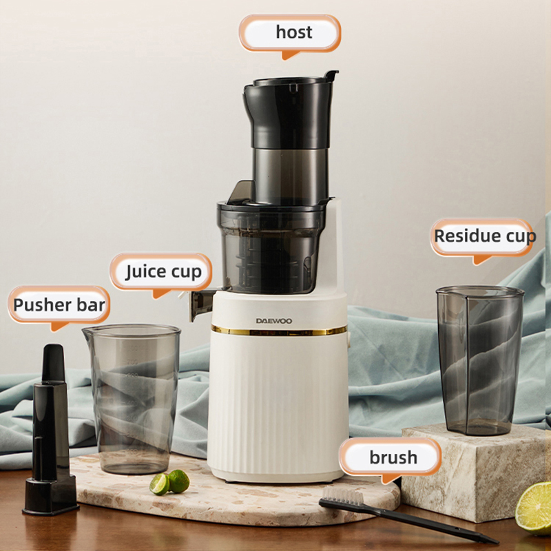 Electric Slow Juicer Cold Press - Frullatore portatile Spremiagrumi elettrico lento -