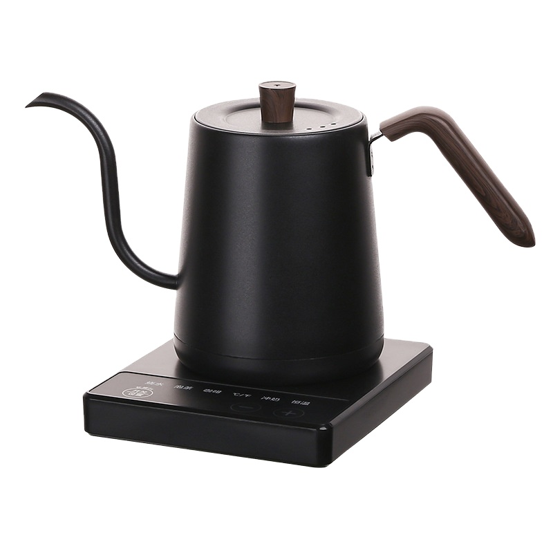 Electric Kettle Temperature Control - Bollitore Elettrico a Collo d'Oca in