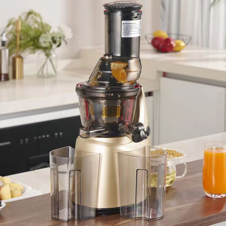 Il miglior spremiagrumi mastic - Electric Slow Juicer Cold Press recensione e prezzo