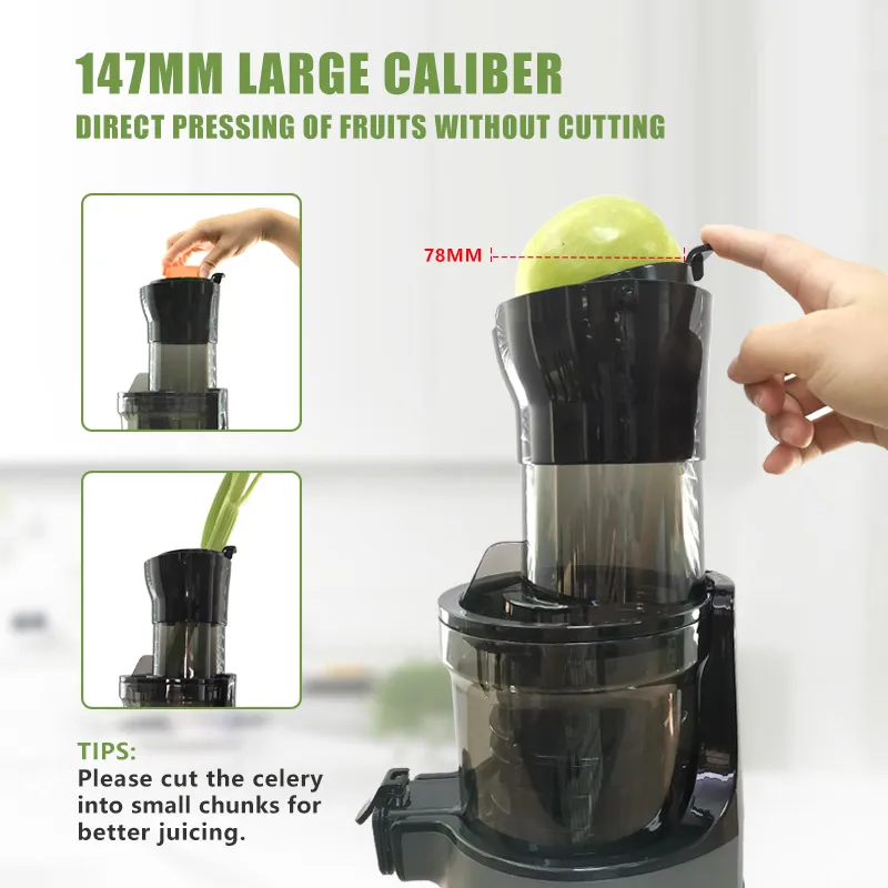 FirmHome StoreIslow Spremiagru - Electric Slow Juicer Cold Press recensione e prezzo