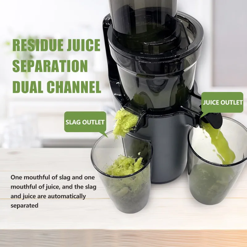 FirmHome StoreIslow Spremiagru - Electric Slow Juicer Cold Press recensione e prezzo