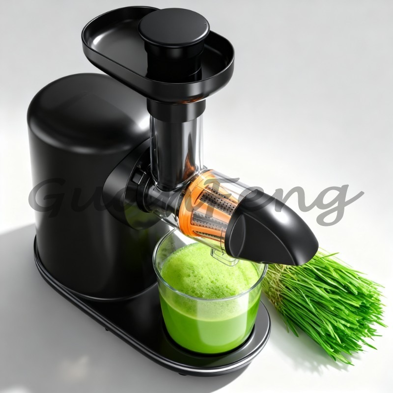 Estrattore di Succo Elettrico  - Electric Slow Juicer Cold Press recensione e prezzo
