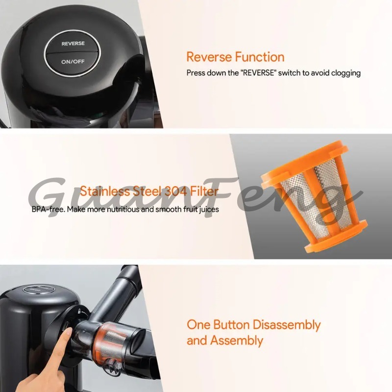 Estrattore di Succo Elettrico  - Electric Slow Juicer Cold Press recensione e prezzo