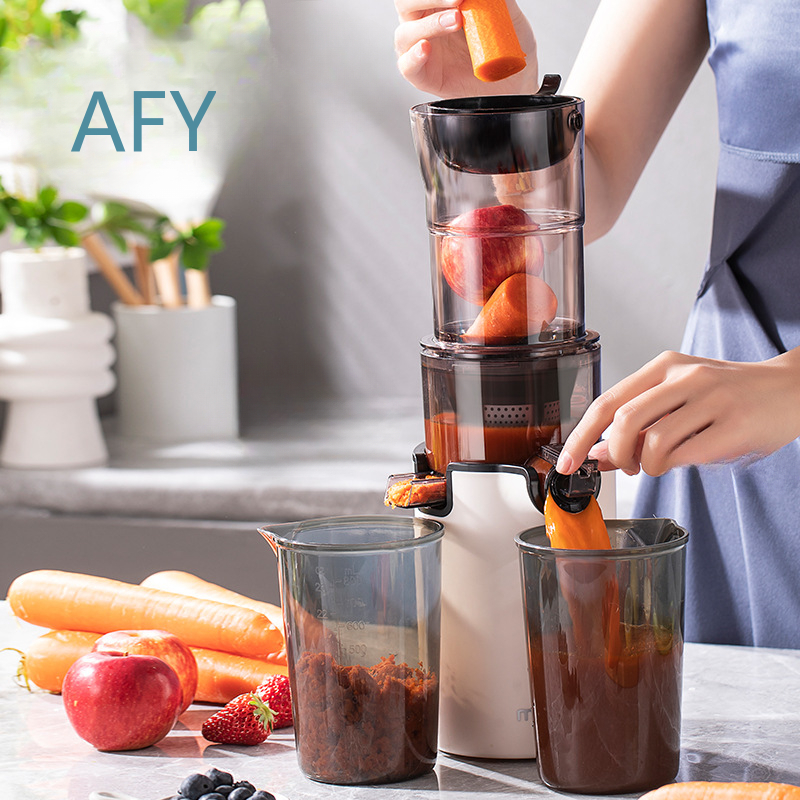 Estrattore di Succo Elettrico  - Electric Slow Juicer Cold Press recensione e prezzo