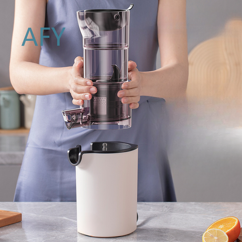 Estrattore di Succo Elettrico  - Electric Slow Juicer Cold Press recensione e prezzo
