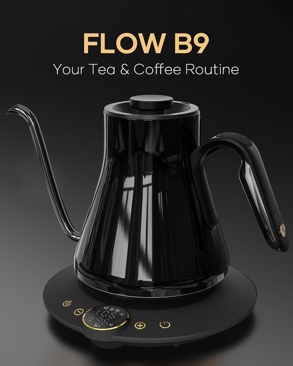 Bollitore elettrico a collo d' - Electric Kettle Temperature Control recensione e prezzo