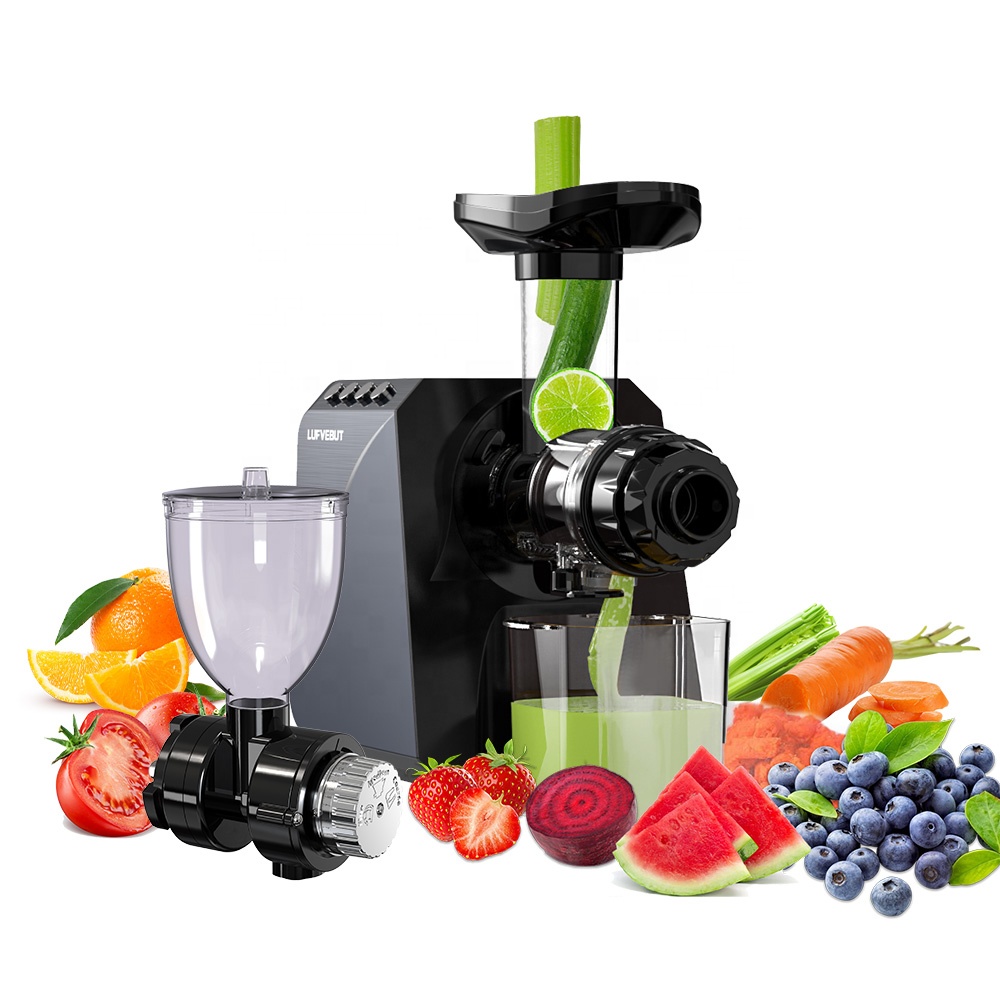 Estrattore di Succo Elettrico  - Electric Slow Juicer Cold Press recensione e prezzo