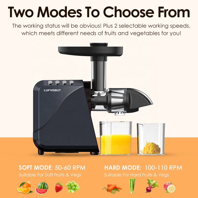 Estrattore di Succo Elettrico  - Electric Slow Juicer Cold Press recensione e prezzo