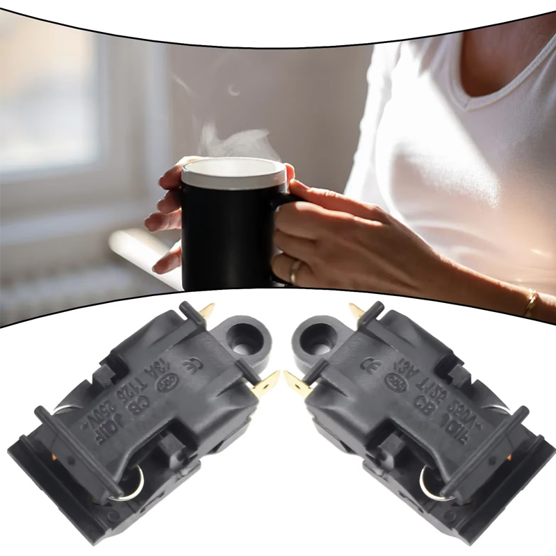 Alimentazione 2 pezzi 13 A ​ I - Electric Kettle Temperature Control recensione e prezzo