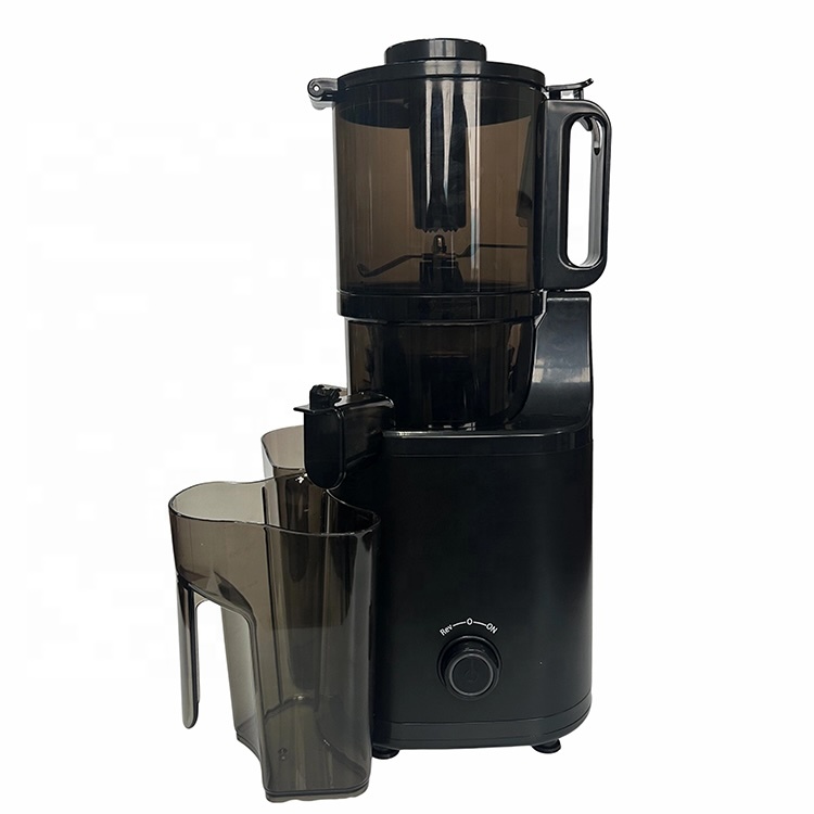 Estrattore di Succo Elettrico  - Electric Slow Juicer Cold Press recensione e prezzo