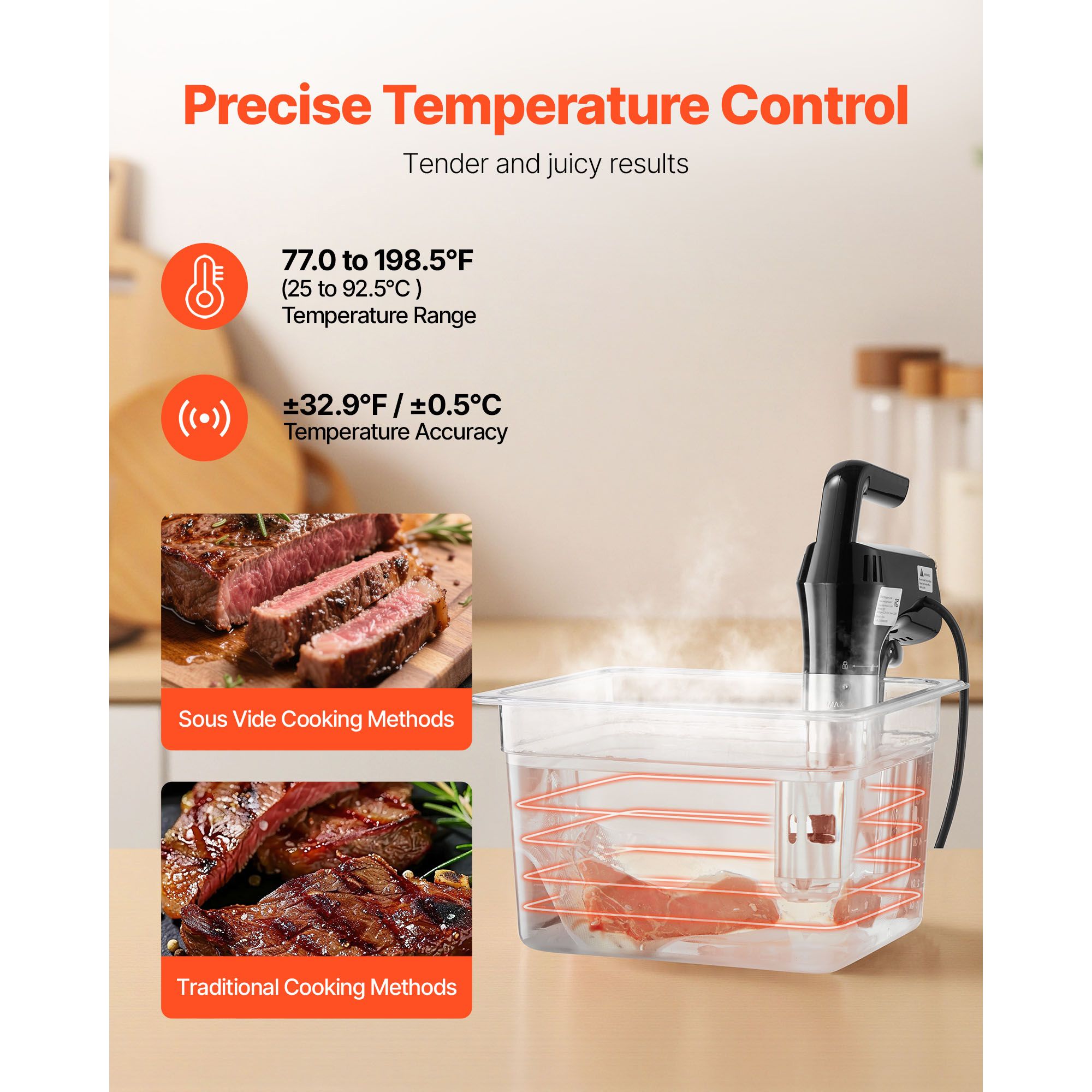 Cuocitore di Precisione Sous V - Digital Sous Vide Precision Cooker recensione e prezzo