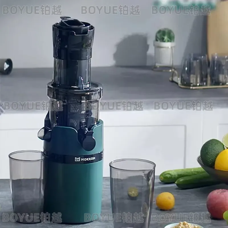 Estrattore di succo a freddo a - Electric Slow Juicer Cold Press recensione e prezzo