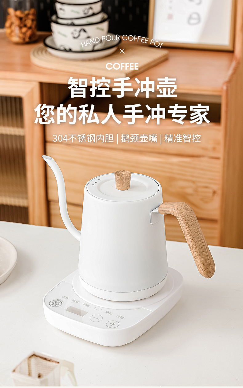 Bollitore Elettrico a Collo d' - Electric Kettle Temperature Control recensione e prezzo